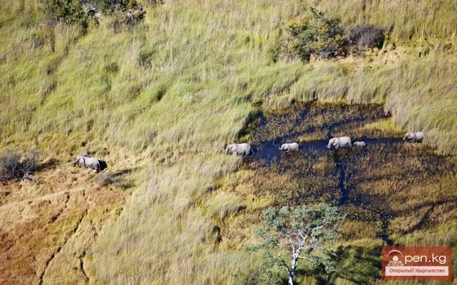 Эртегилер лагунасы жана пілдер өрөөнү