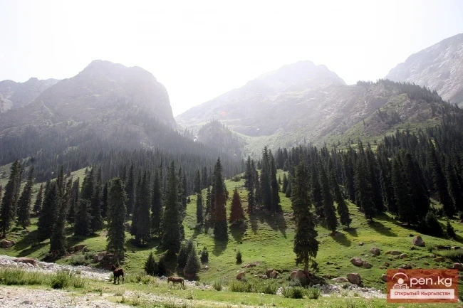 Zone "Ak-Talaa" Zone "Ak-Talaa"