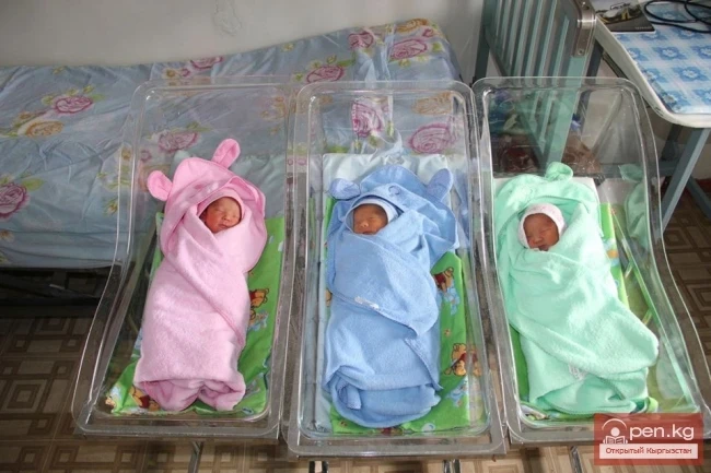 В Кыргызстане высокими темпами растет численность населения