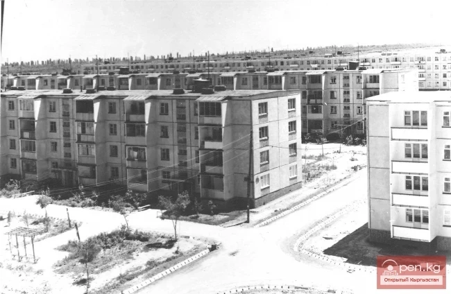 Under the Sign of the Struggle Against Grayness and Uniformity