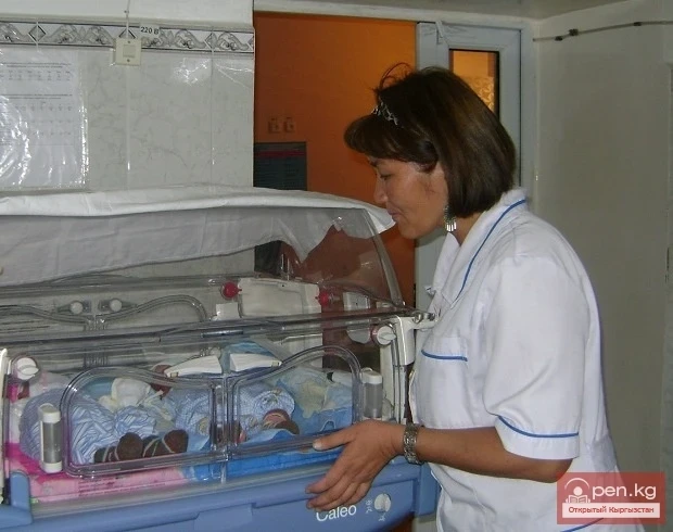 Кыргызстанда энелик жана балалыкты коргоо боюнча аракеттерди колдошот