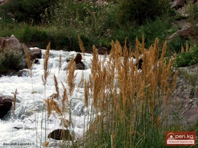 Кыргызстан (фотограф Александр Лапенко)