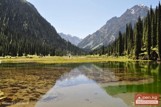 Кыргызстан (фотограф Александр Лапенко)