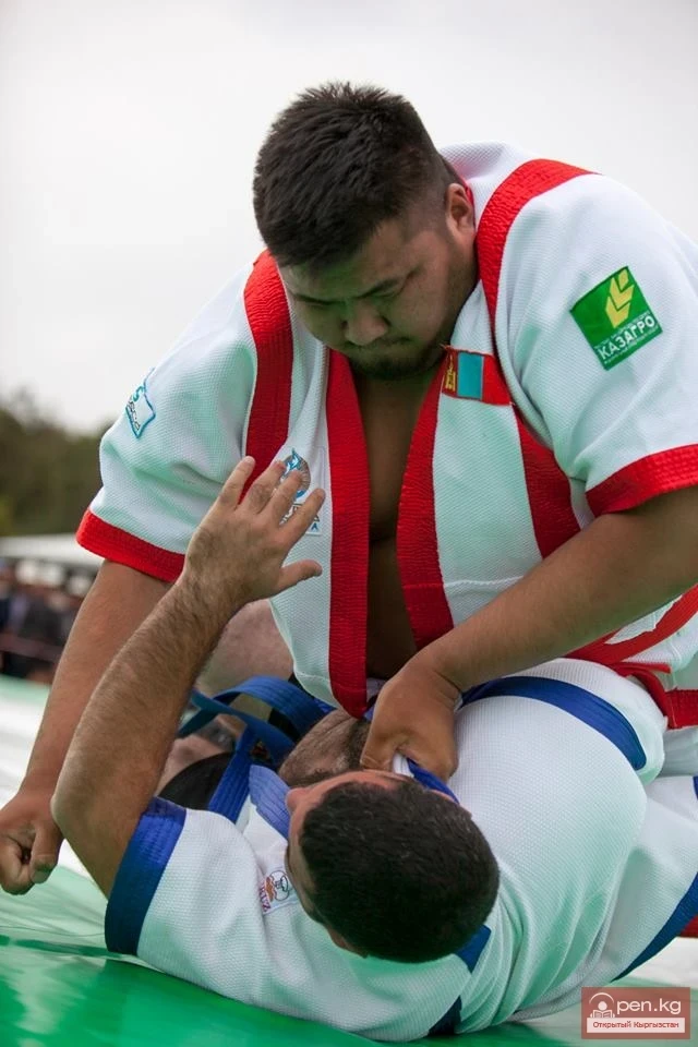 World Nomad Games 2014