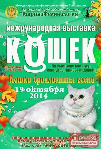 Cat Exhibition "Cats, Diamonds of Autumn," October 19, 2014.