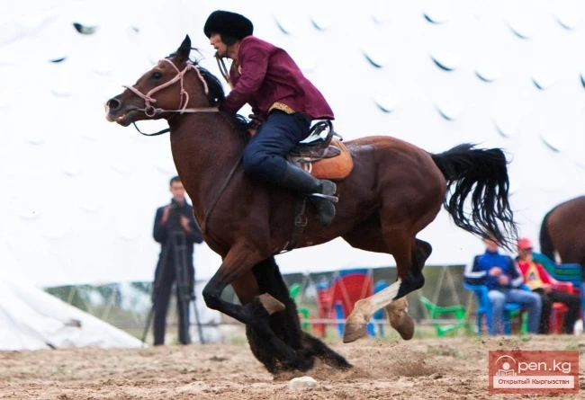 World Nomad Games 2014