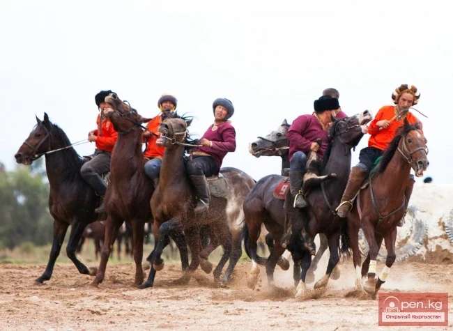 World Nomad Games 2014