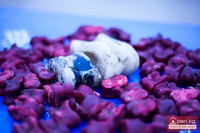 World Nomad Games 2014