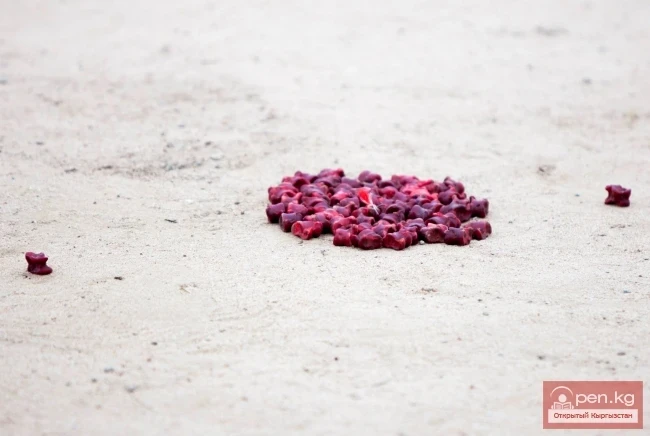 World Nomad Games 2014