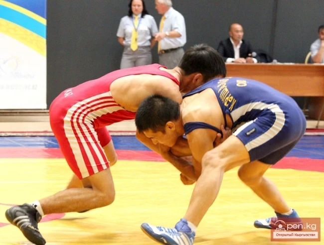 Asian Games 2014: Wrestlers Left Without Medals