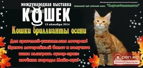 Международная выставка кошек "Кошки - бриллианты осени"
