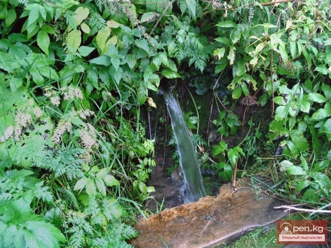 Ачуу булак — жаман булагы