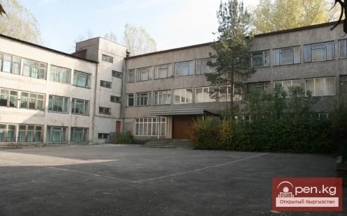 SPECTOR Lilia Andreevna