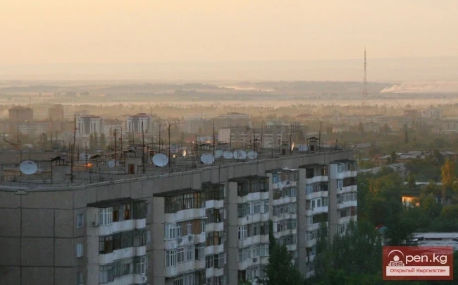 СВЕТОВА Надежда Николаевна