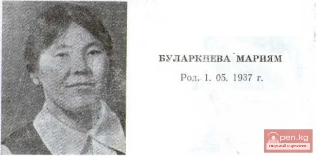 Поэт Мариям Буларкиева