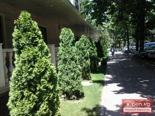 In Memory of the Poet - Frontline Soldier. St. Dzh. Turusbekov