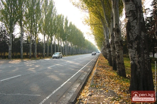 Жол, проспектке айланган. Пр. Мира