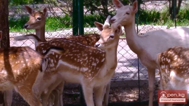 Два туриста на мели -6