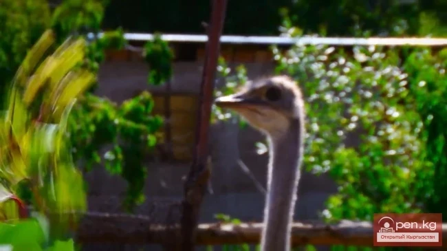 Два туриста на мели -9