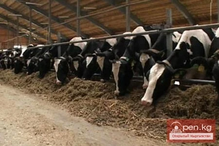 Жаны мал чарбачылыгы продукциясынын өндүрүлүшү 2015-жылдын 1-мартындагы абалы боюнча