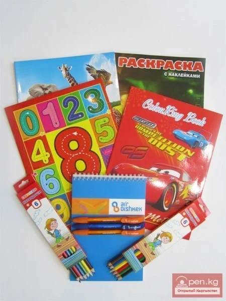 Авиакомпания «Air Bishkek» (Эйр Бишкек)