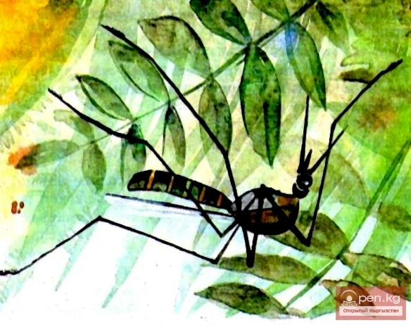 The title translates to "The Show-off Mosquito."