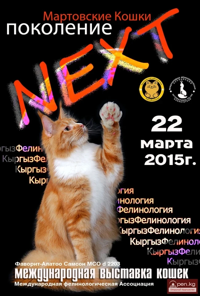 Эл аралык мыкты мышыктар көргөзмөсү. МФА системасы. "Март мышыктары, NEXT мууну", уюштуруучу клуб КЛК "КыргызФелинология"