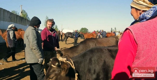 «Кочууга туулган» фильминин премьерасы