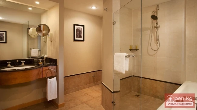 Хаятт Ридженси Бишкек (Hyatt Regency)