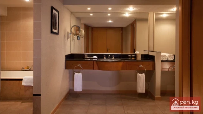 Хаятт Ридженси Бишкек (Hyatt Regency)