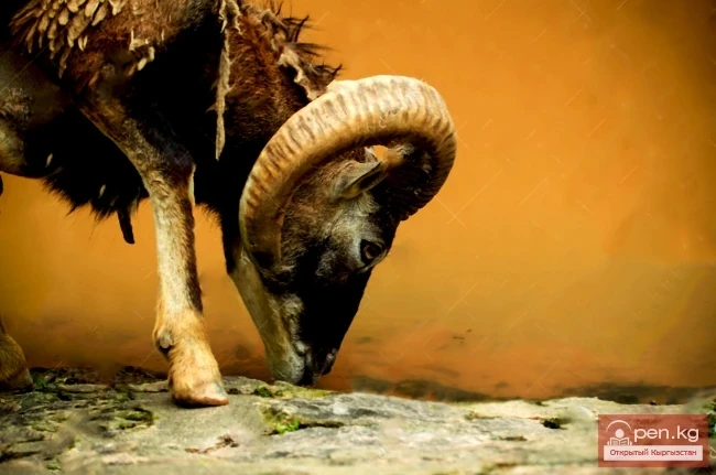 Источник Аркаршур