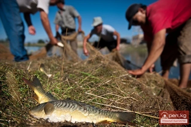 Agriculture of Kyrgyzstan