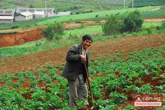 Agriculture of Kyrgyzstan