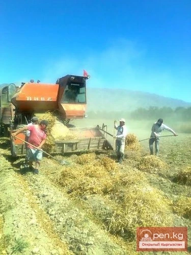 Agriculture of Kyrgyzstan