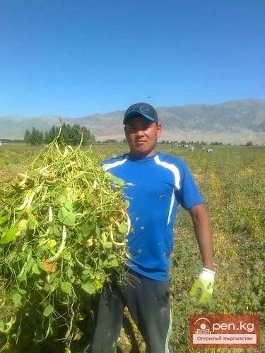 Agriculture of Kyrgyzstan