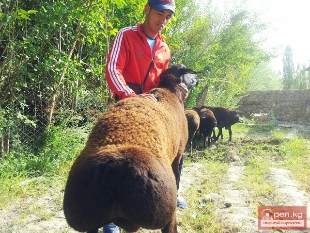 Agriculture of Kyrgyzstan