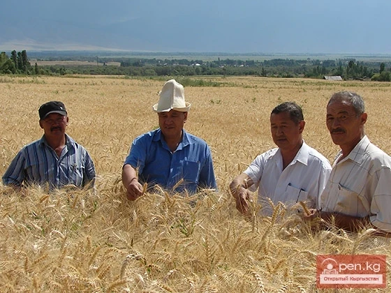 Agriculture of Kyrgyzstan