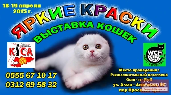 Мышык көргөзмөсү 18-19-апрель