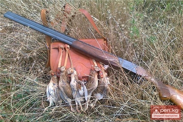 Опыт стрельбы