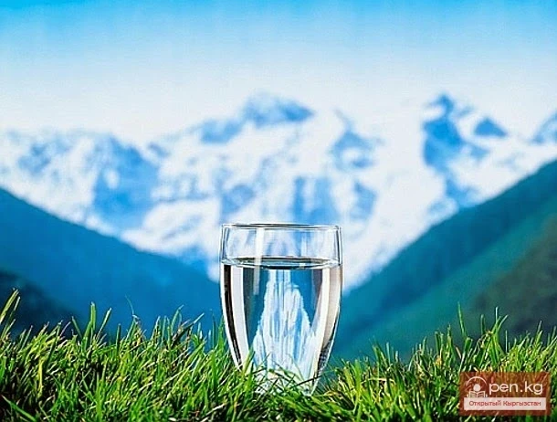 «Спецификалык» компоненттерсиз минералдык суу