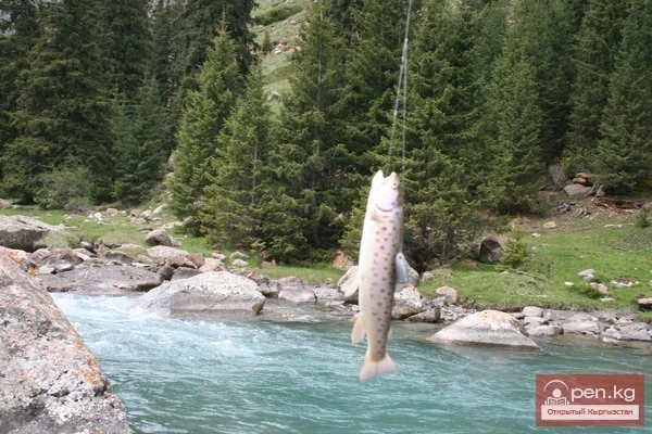 Рыбалка на Красной речке