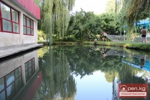 Дем алуу борбору "Бата"