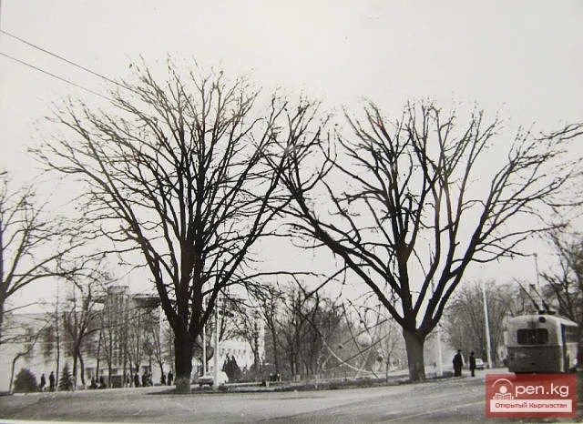 Кыргыз Республикасынын Улуттук илимдер академиясы