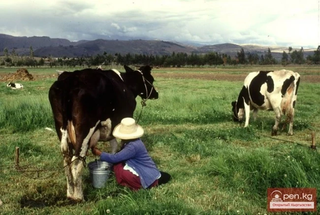 Agriculture of Kyrgyzstan