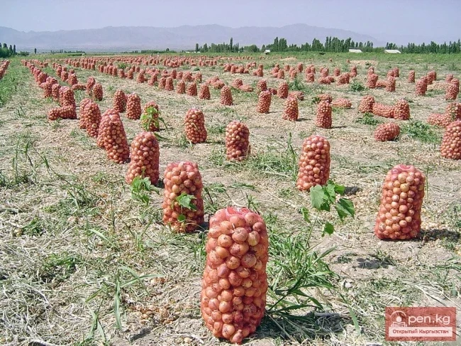 Agriculture of Kyrgyzstan