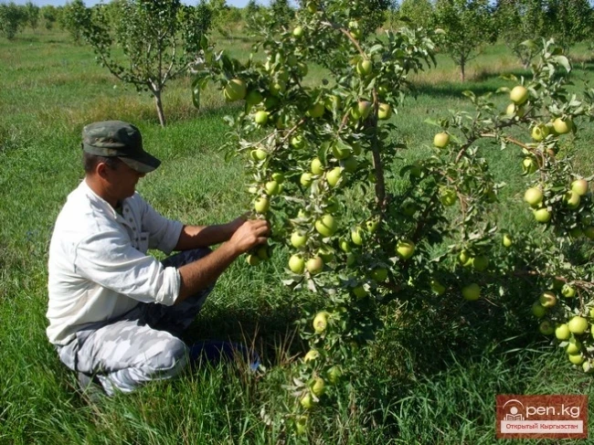 Agriculture of Kyrgyzstan