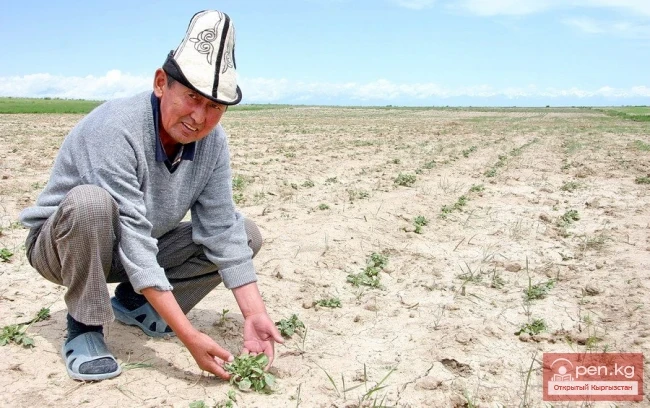 Agriculture of Kyrgyzstan