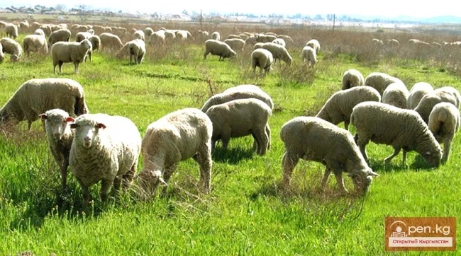 Agriculture of Kyrgyzstan