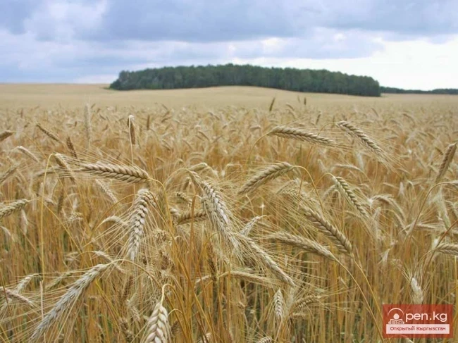 Agriculture of Kyrgyzstan