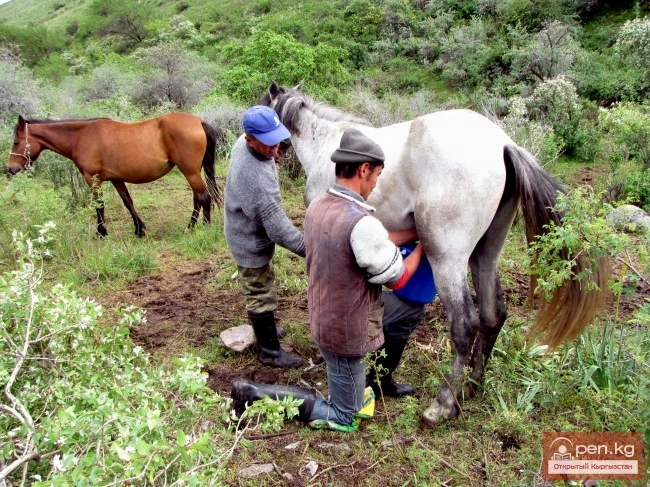 Agriculture of Kyrgyzstan